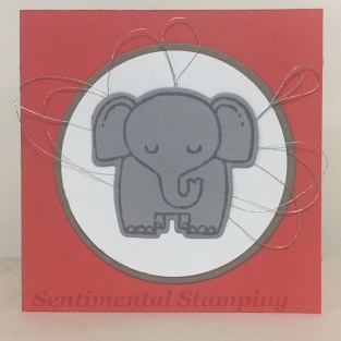 a little wild elephant front